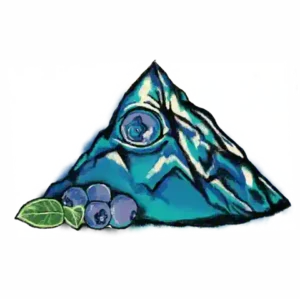 Clsics - Mountain Berry 3.5g